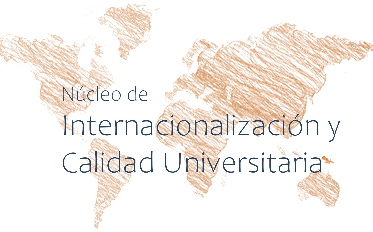 Núcleo de Internacionalización y Calidad Universitaria - CEI - Universidad Nacional de Rosario _ 