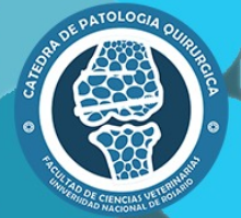 Logo de la catedra de patología quirúrgica